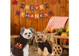 Dog Thanksgiving Sweater, Knitted Thanksgiving Fall Holiday Dog Sweaters - Image 4