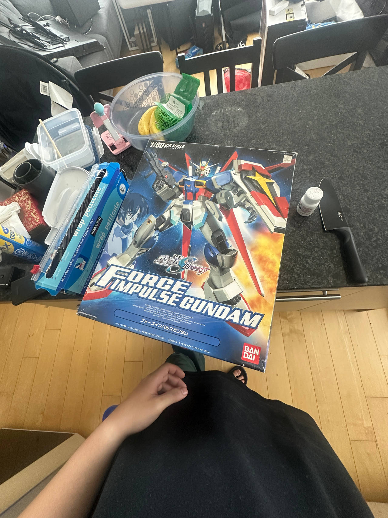 Force Impulse Gundam Model Kit 1/60