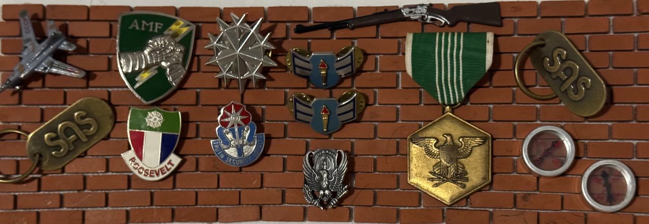 Vintage Military Pins, Medal & Accessories Lot