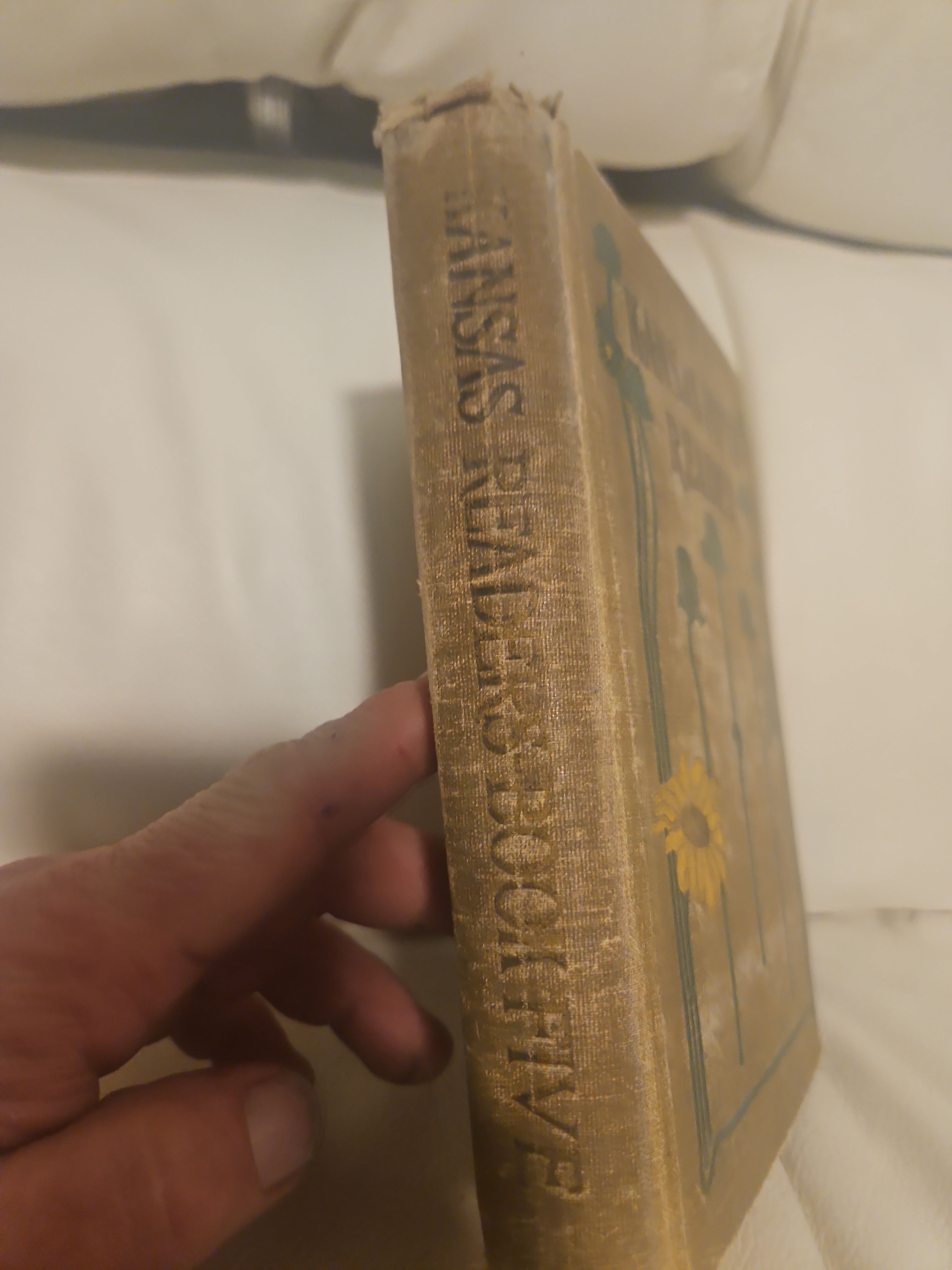 Kansas Fifth Reader Antique Textbook - Image 3