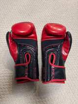Ringside Apex Bag Gloves Red/Black - Image 1