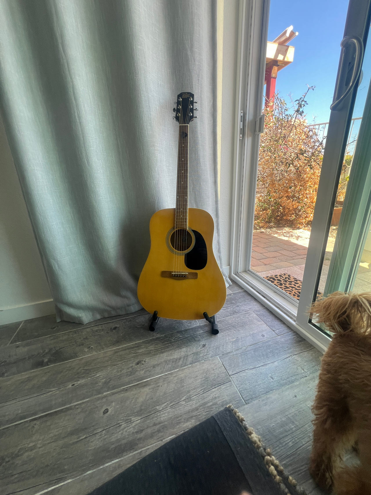 acoustic guitar