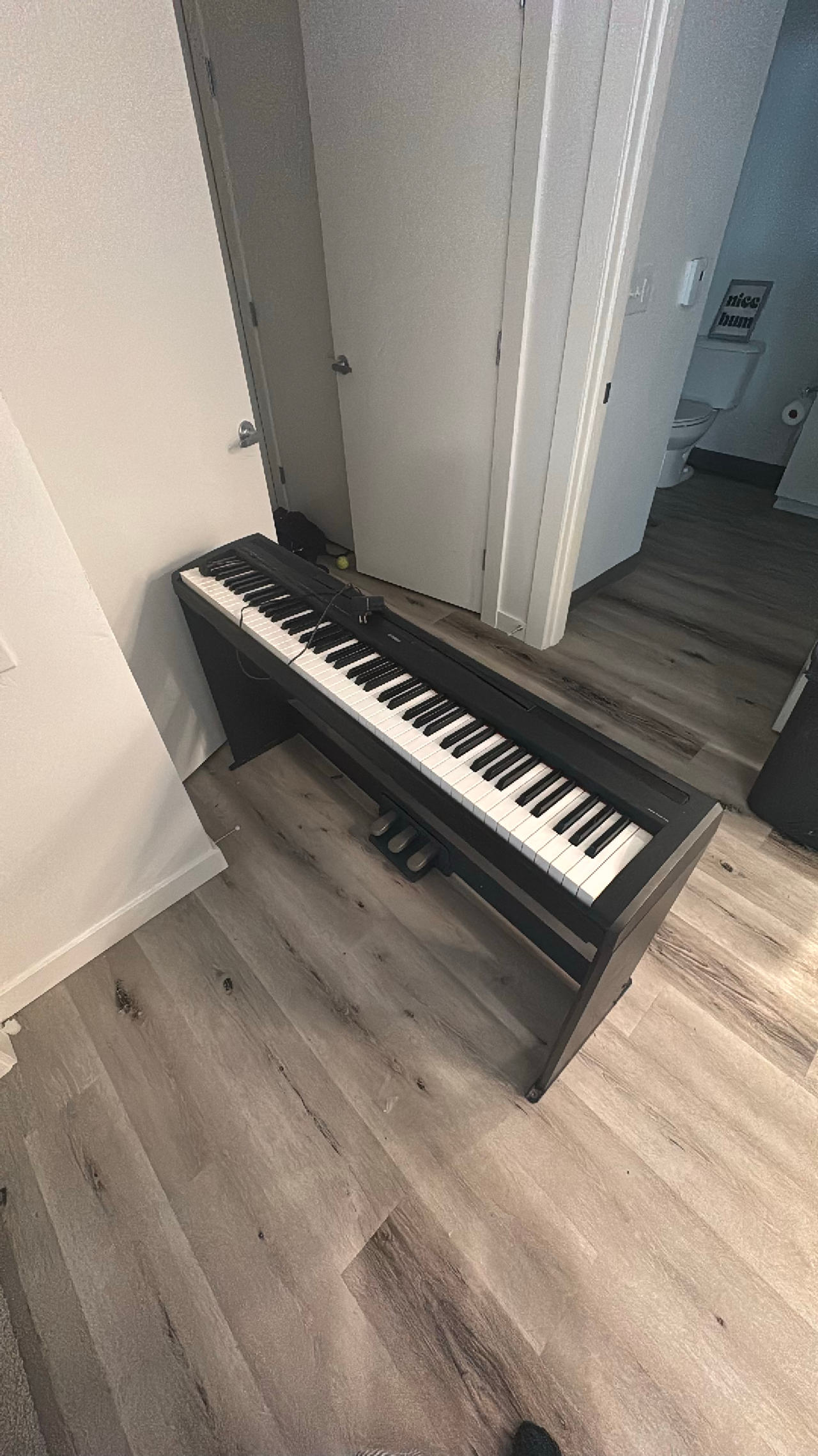Digital Piano