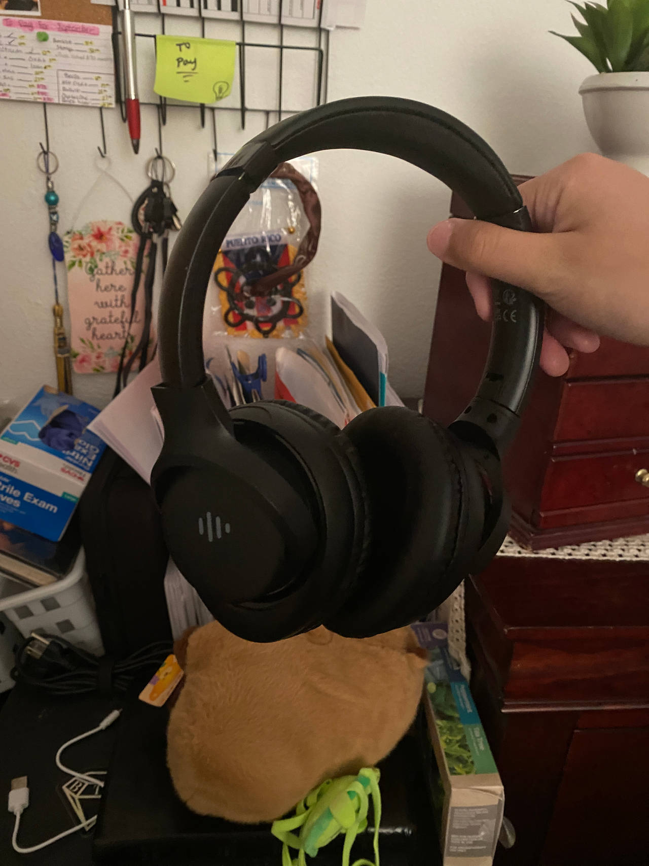 Soundcore Life Q20