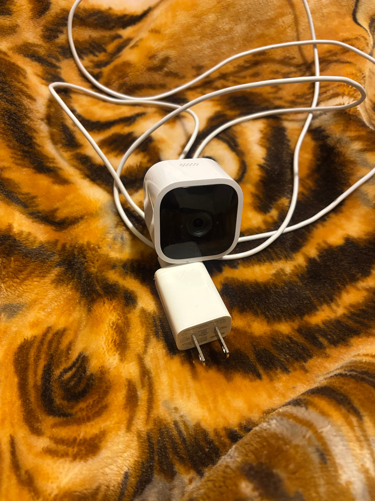 Blink índoor mini camera 