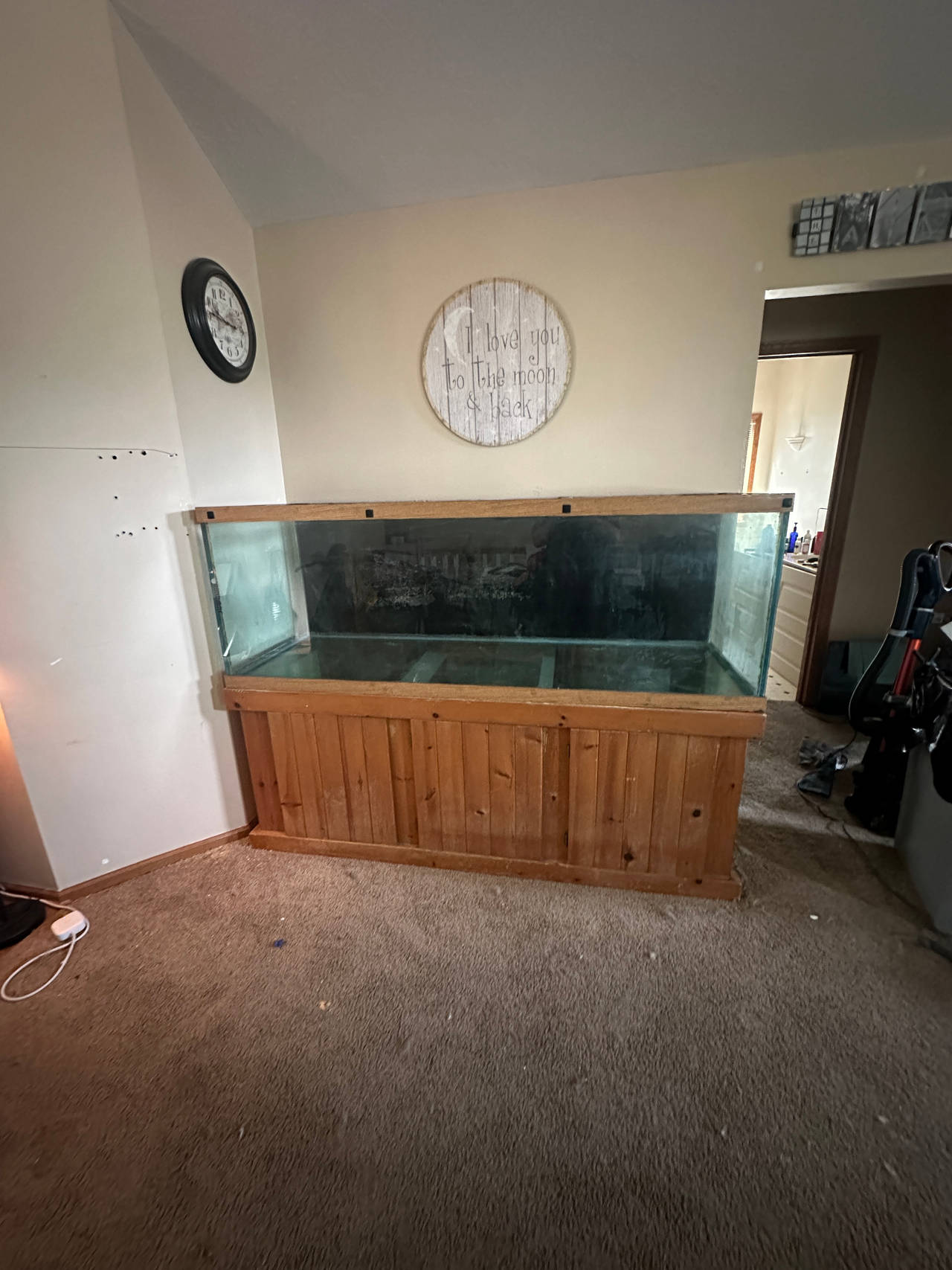 Large Glass Aquarium with Wooden Stand