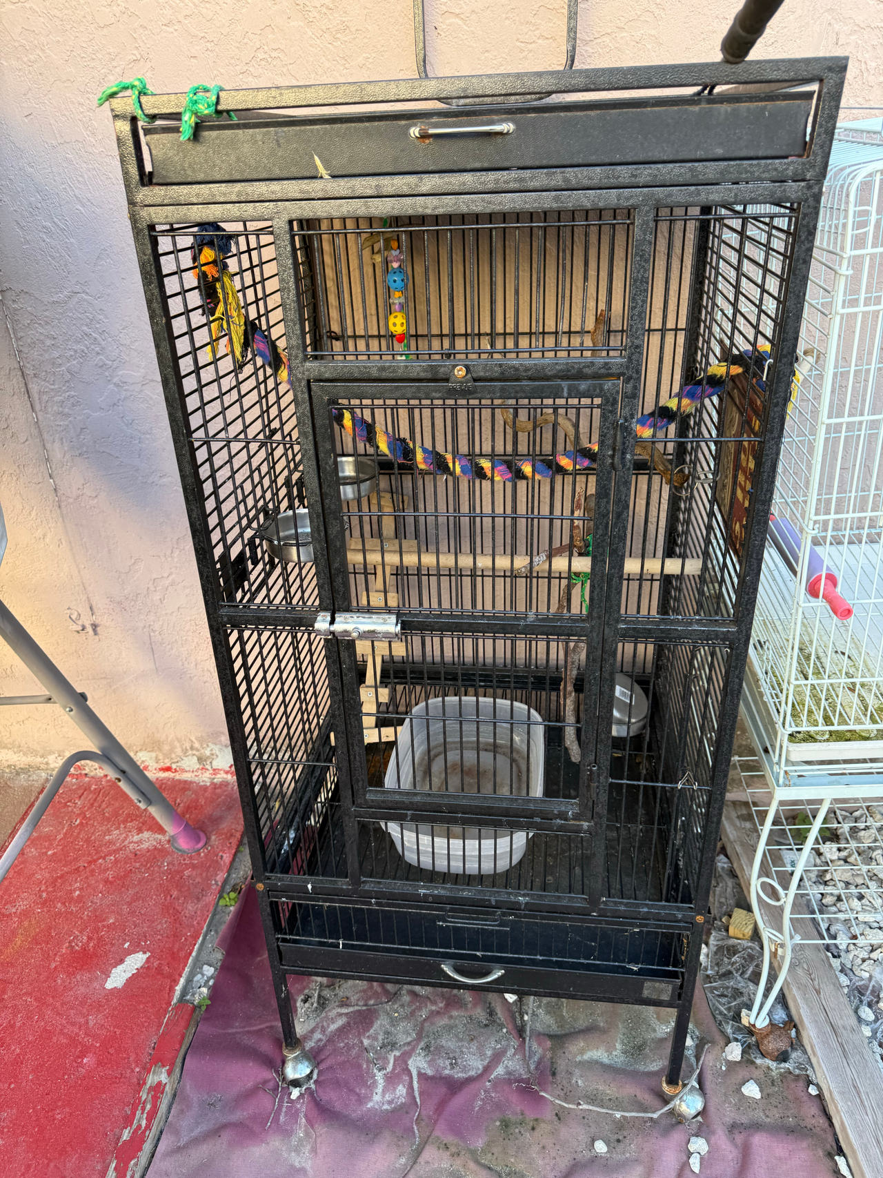Prevue Hendryx Wrought Iron Select Bird Cage