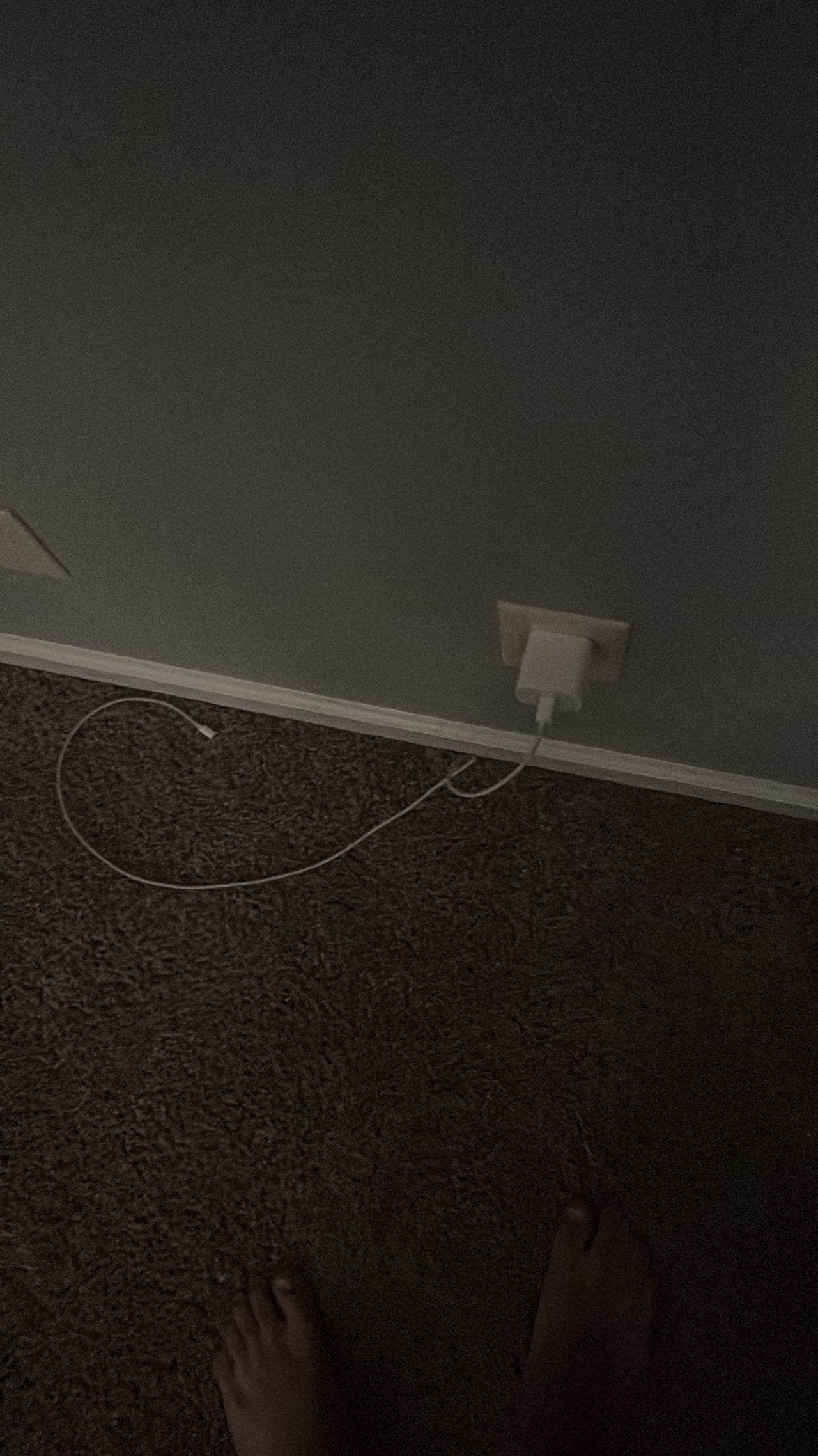 Apple USB Power Adapter