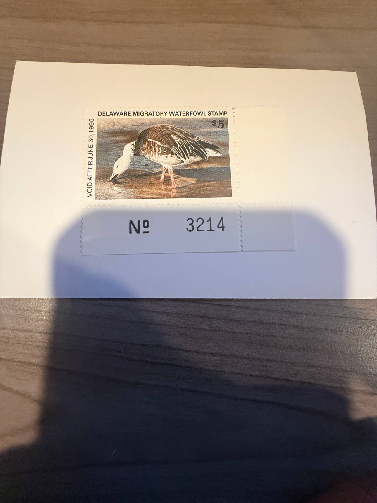 1994 Delaware Migratory Waterfowl Stamp ($5 Snow Goose)