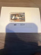 1994 Delaware Migratory Waterfowl Stamp ($5 Snow Goose) - Image 1