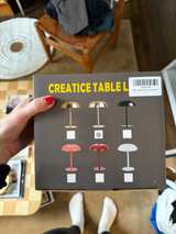 Cordless Steel Mushroom Table Lamp (new in box) - Image 4