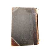 Vitalogy Large 1909 Home Health Human Anatomy Antique Hardcover - Image 7