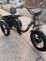 Electric Fat Tire Adult Tricycle - Image 2