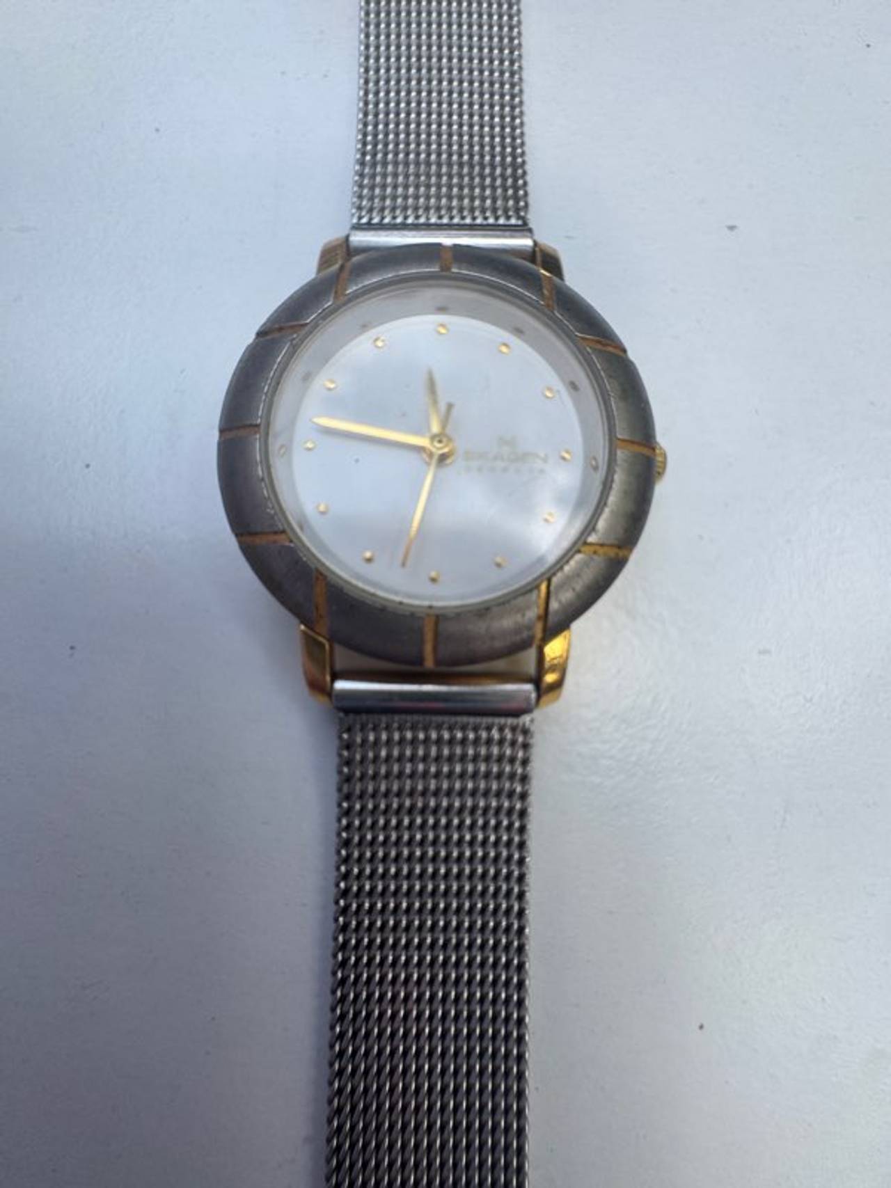Skagen Watch