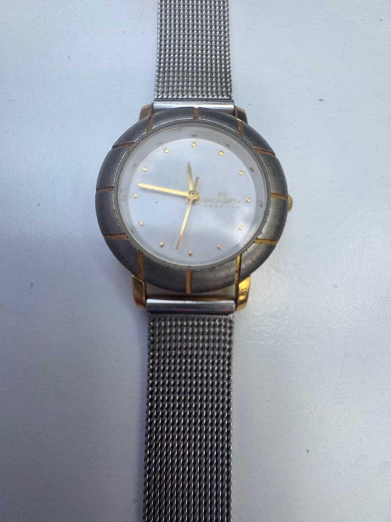 Skagen Watch