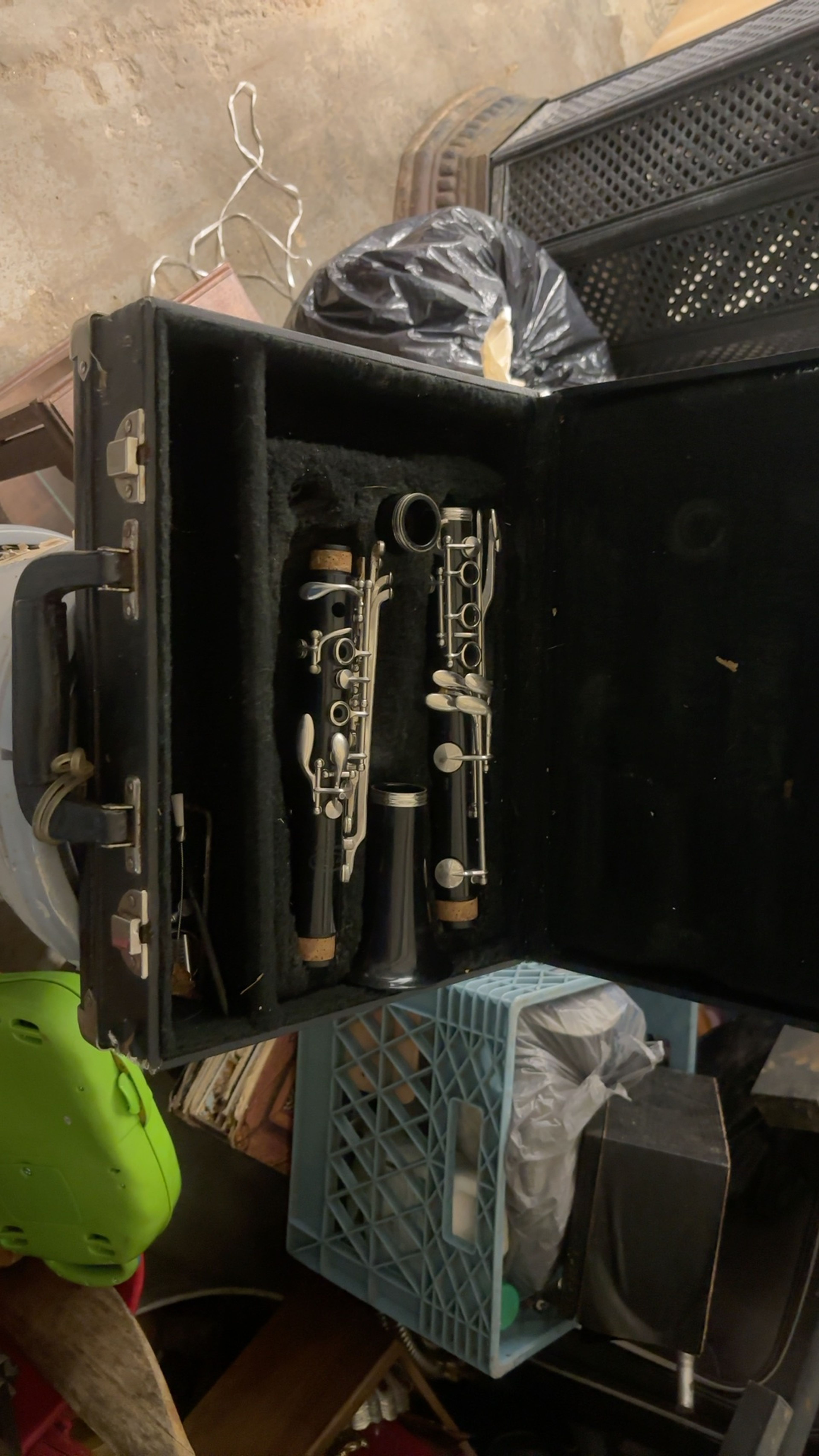 Buffet Crampon Professional Bb Clarinet