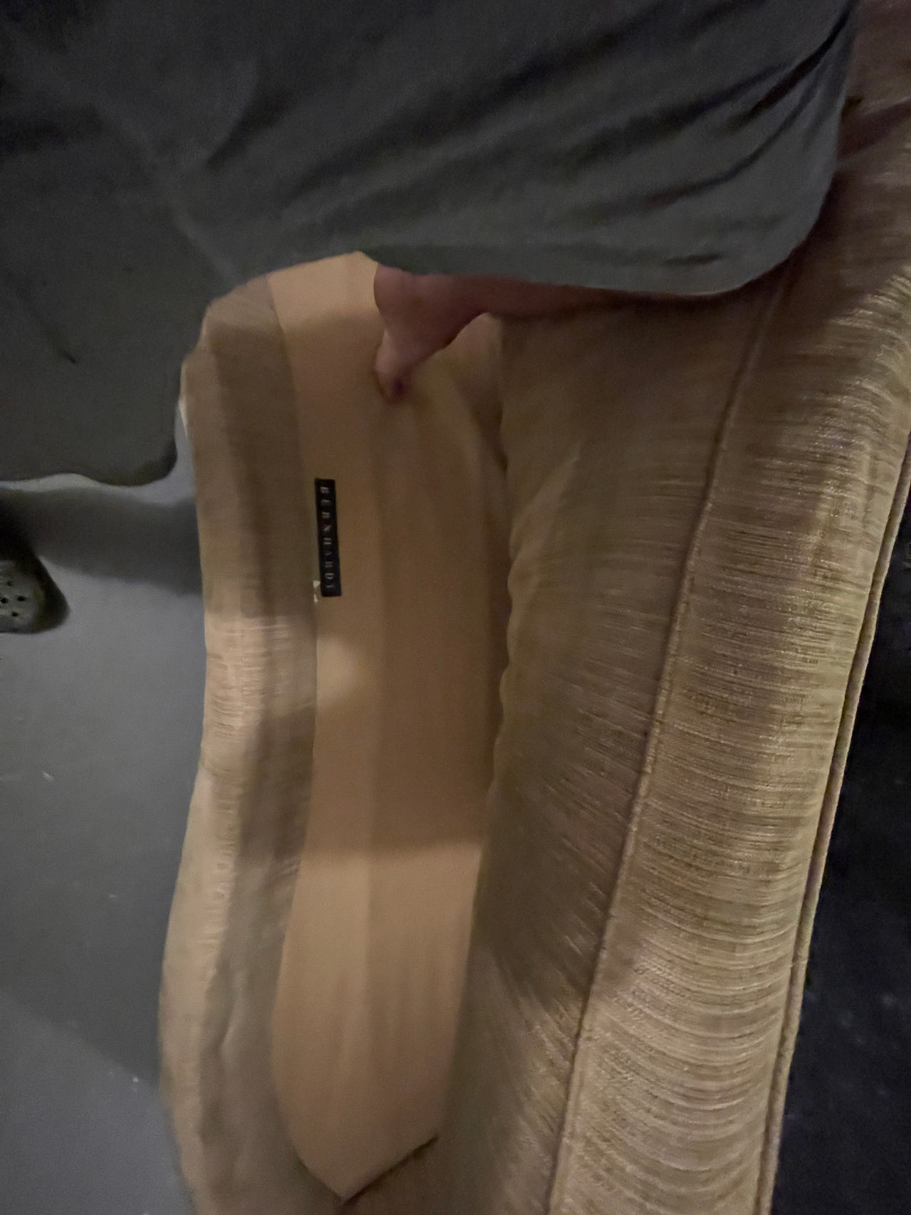 Room & Board Sofa