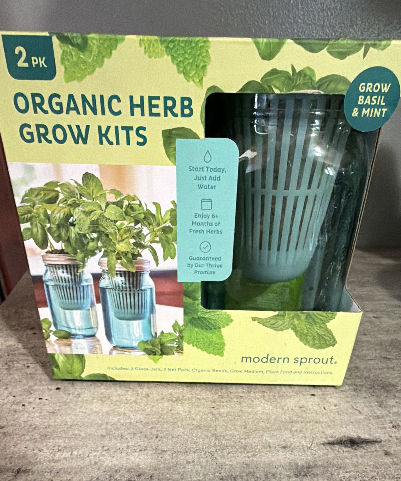 Modern Sprout Organic Herb Grow Kit 2-Pack