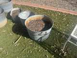 Vintage Metal Tin Can Rusty Steampunk Trash Pail- $20 Each - Image 1