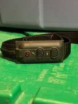 PetSafe Static Correction Dog Collar - Image 2