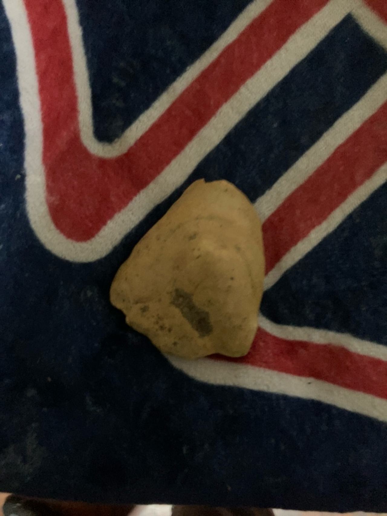 Native American Stone Effigy