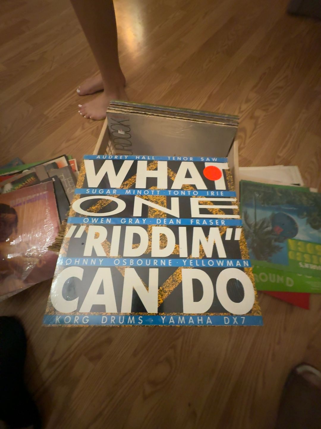 What One Riddim Can Do Various Artists Reggae Compilation CD