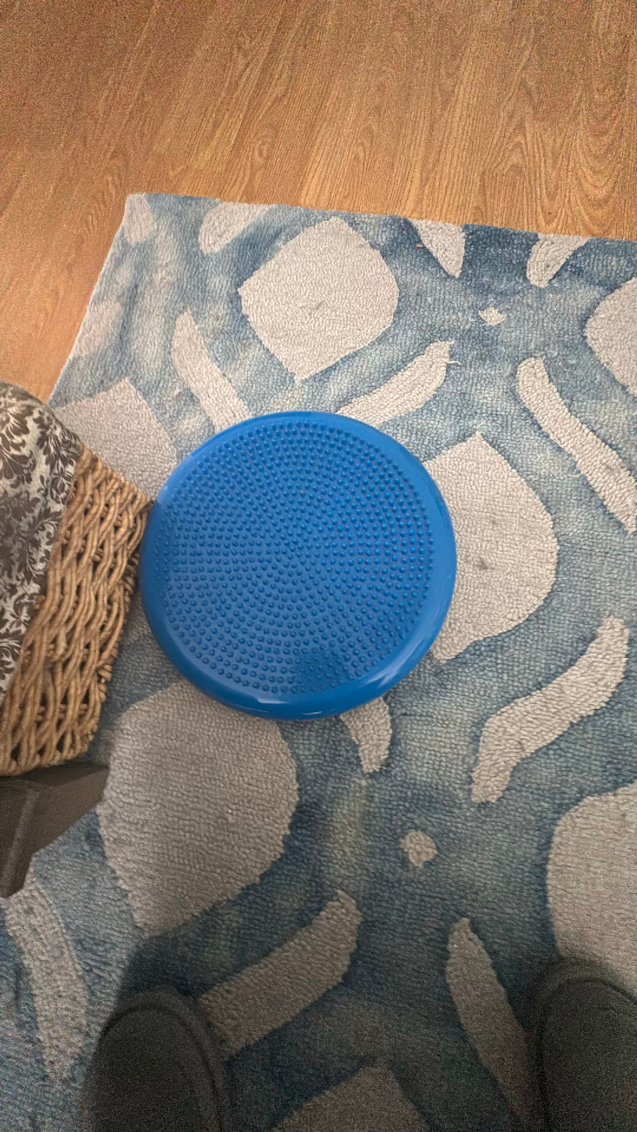Balance Disc