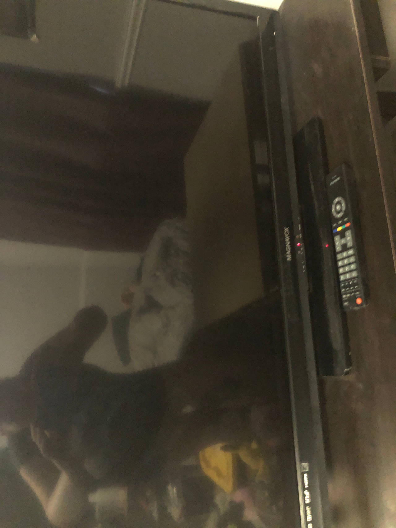 Magnavox LED TV