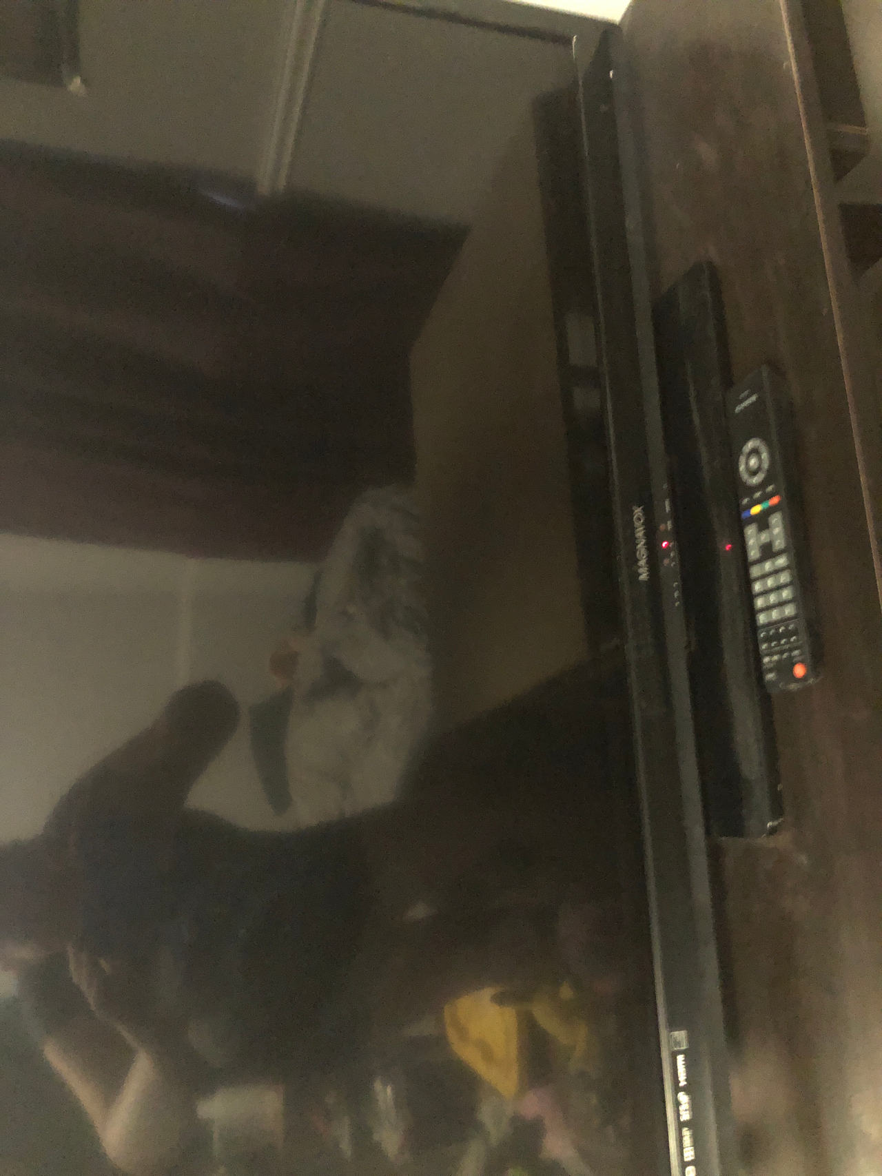 Magnavox LED TV