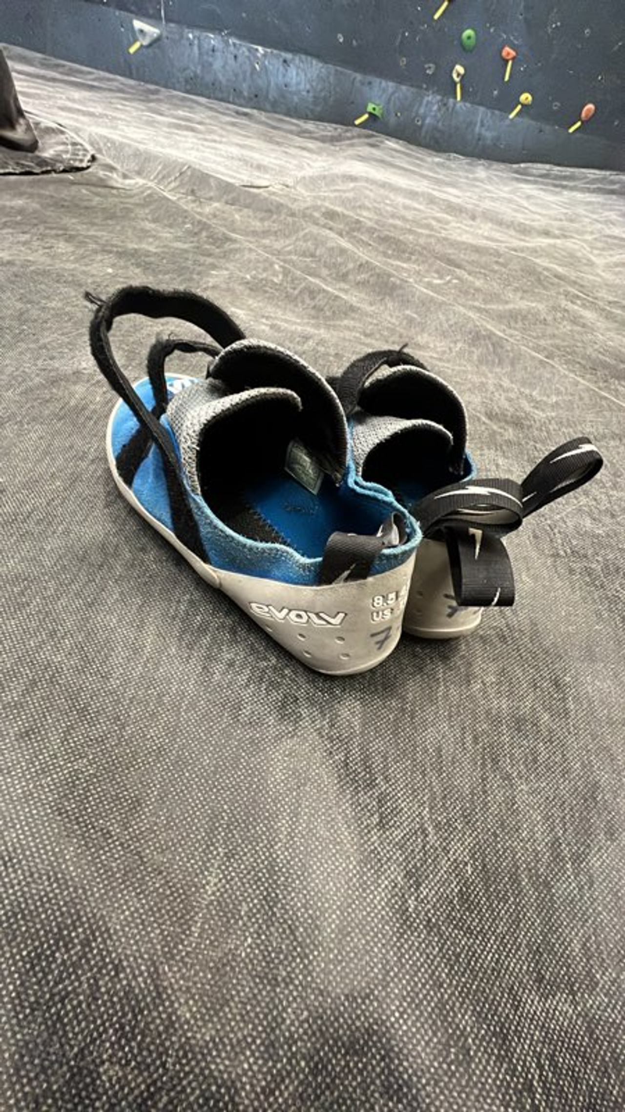 Evolv Climbing Shoes