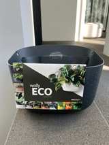 Wallygro Eco Living Wall Planter - Charcoal - Image 2