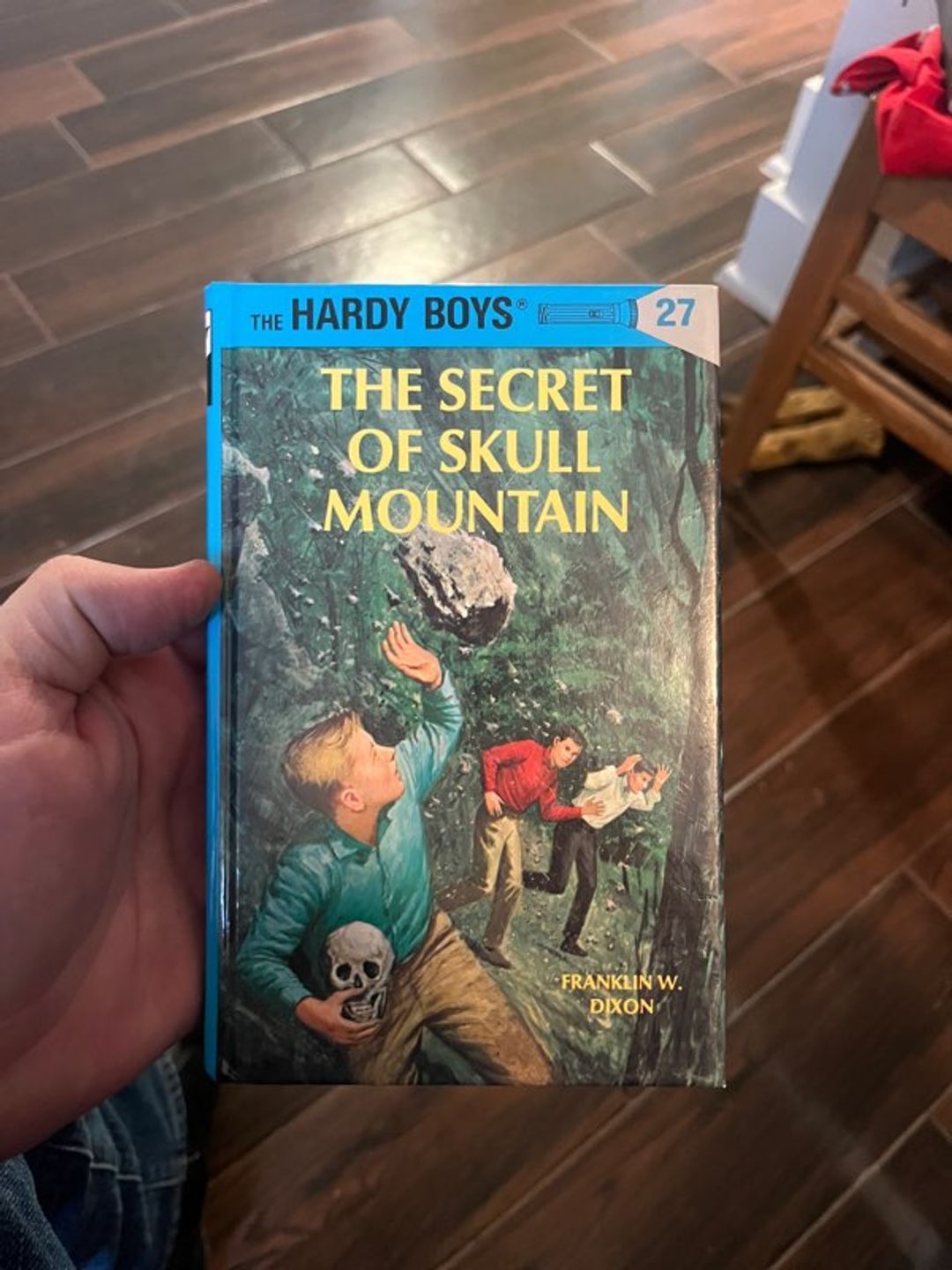 The Hardy Boys: The Secret of Skull Mountain