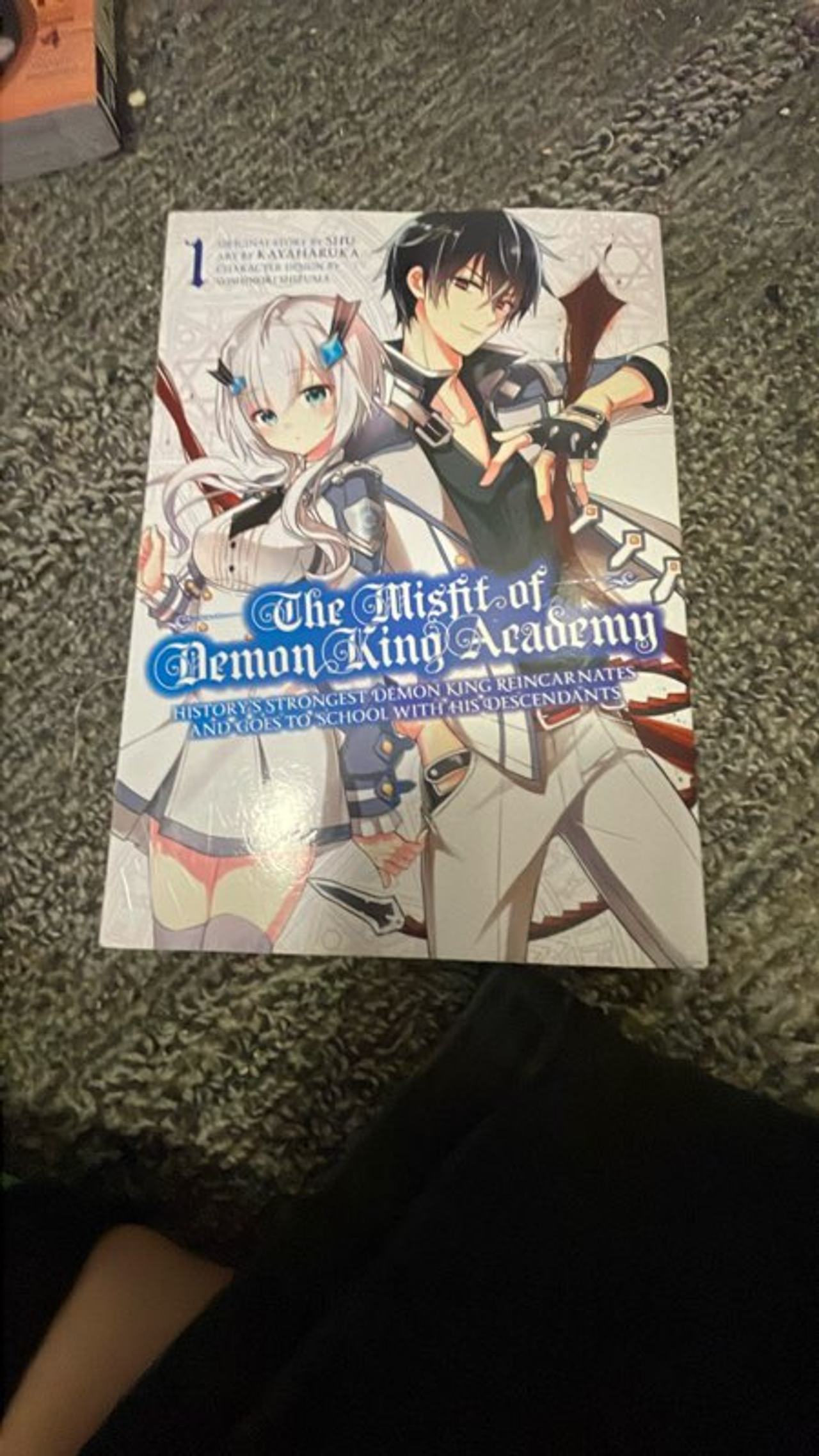 The Misfit of Demon King Academy
