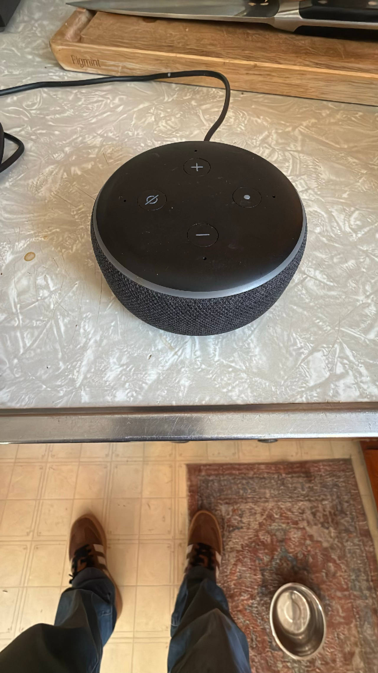 Amazon Echo Dot