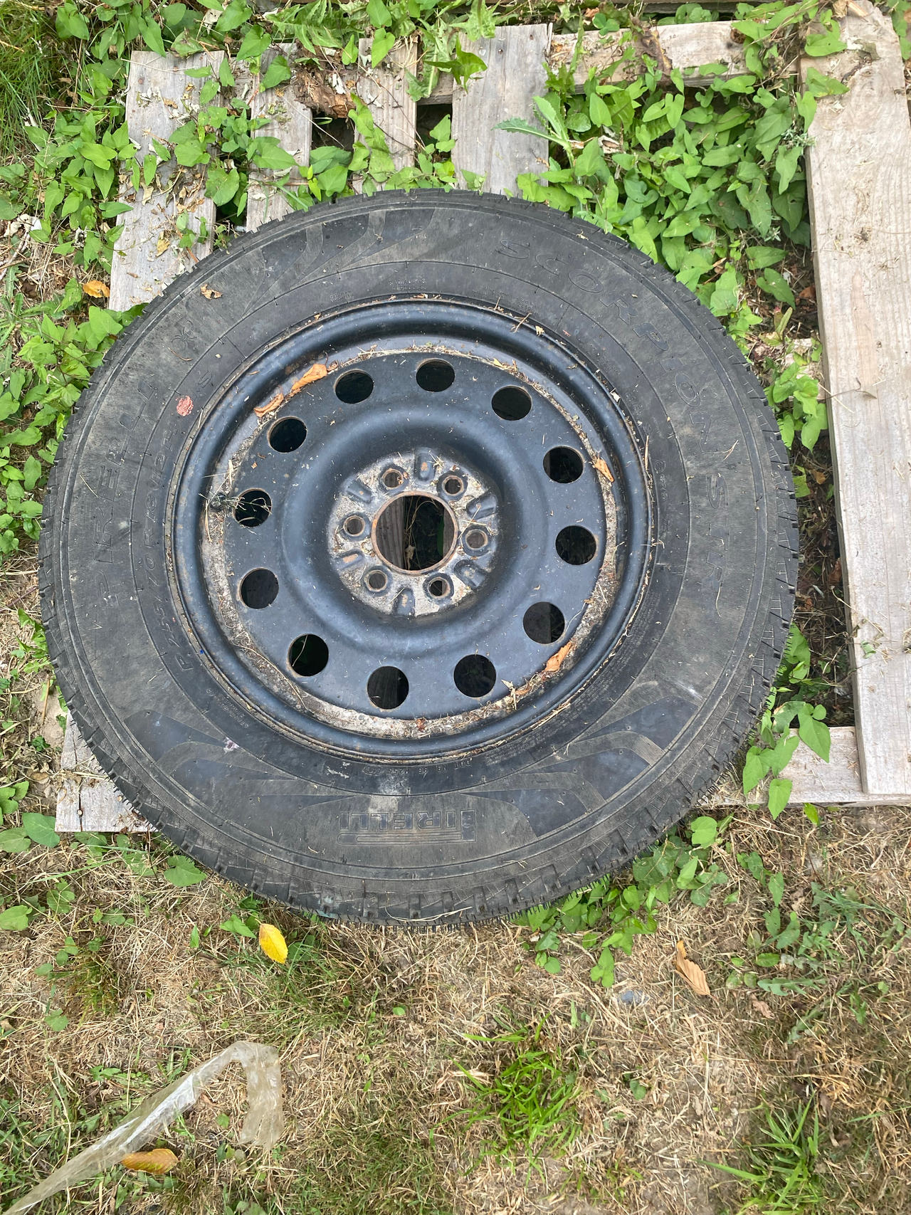 Steel Wheel with Tire