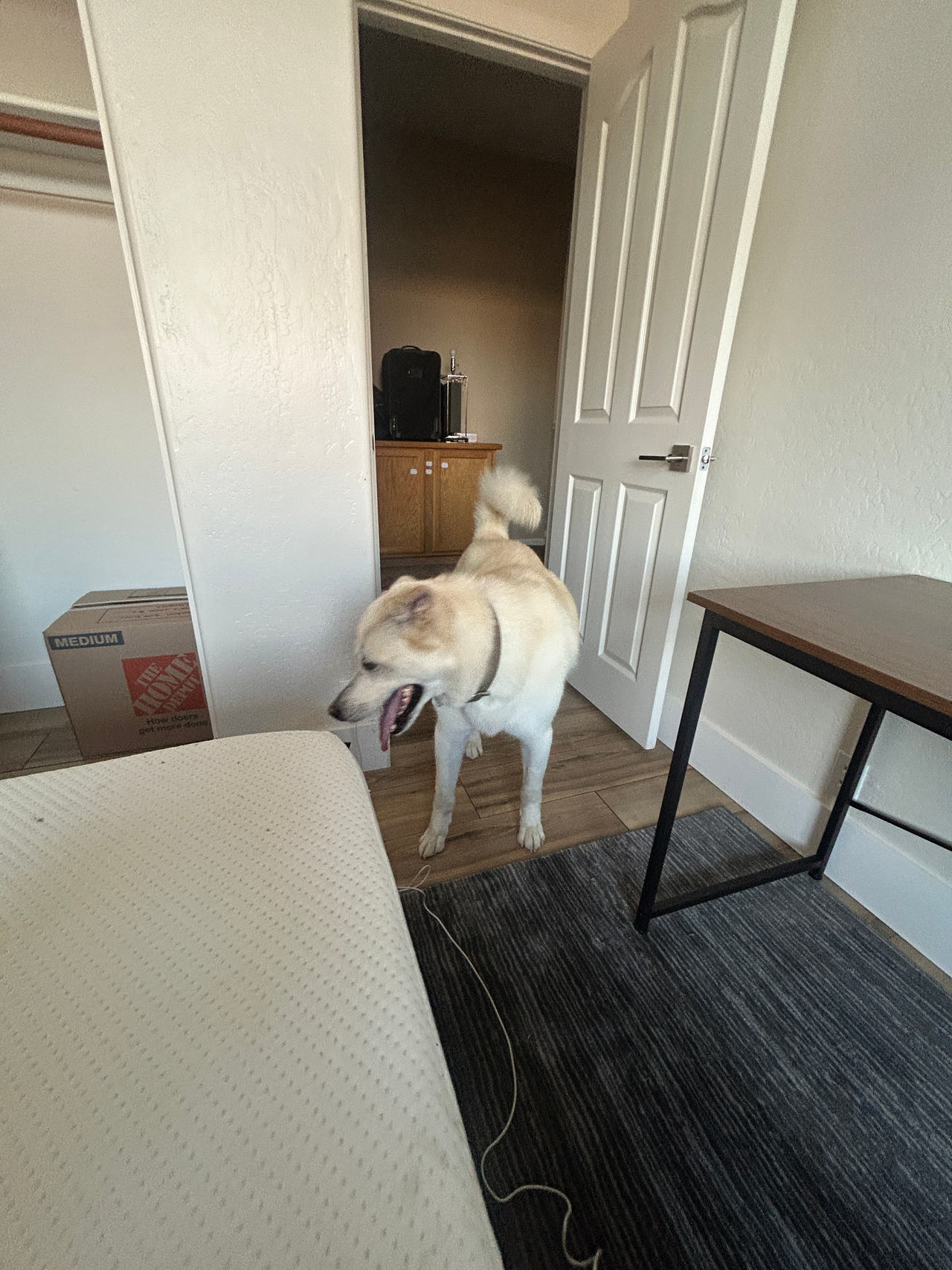Home Depot Cardboard Moving Box