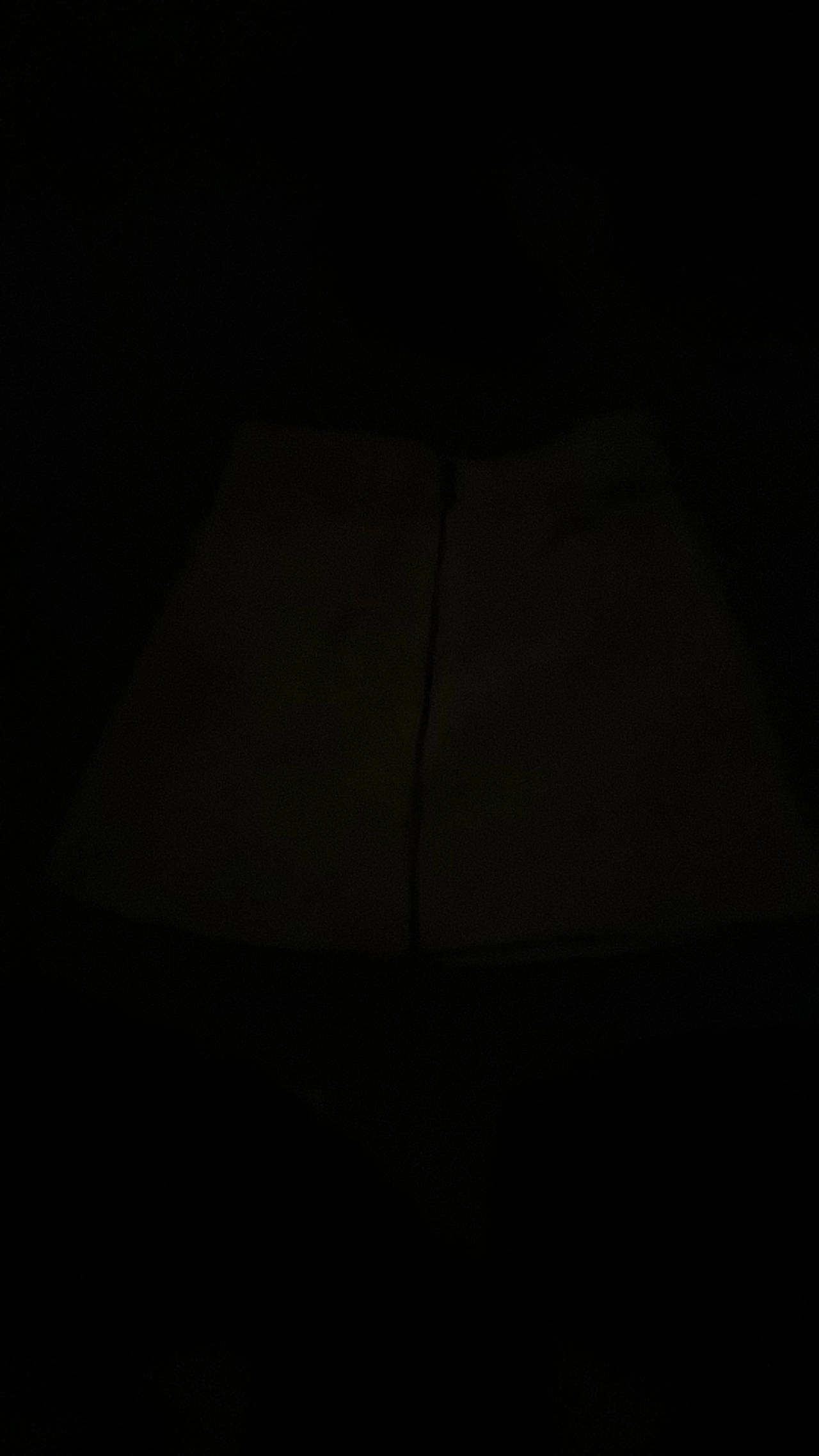 American Eagle Vintage Denim Mini Skirt Blackish Gray