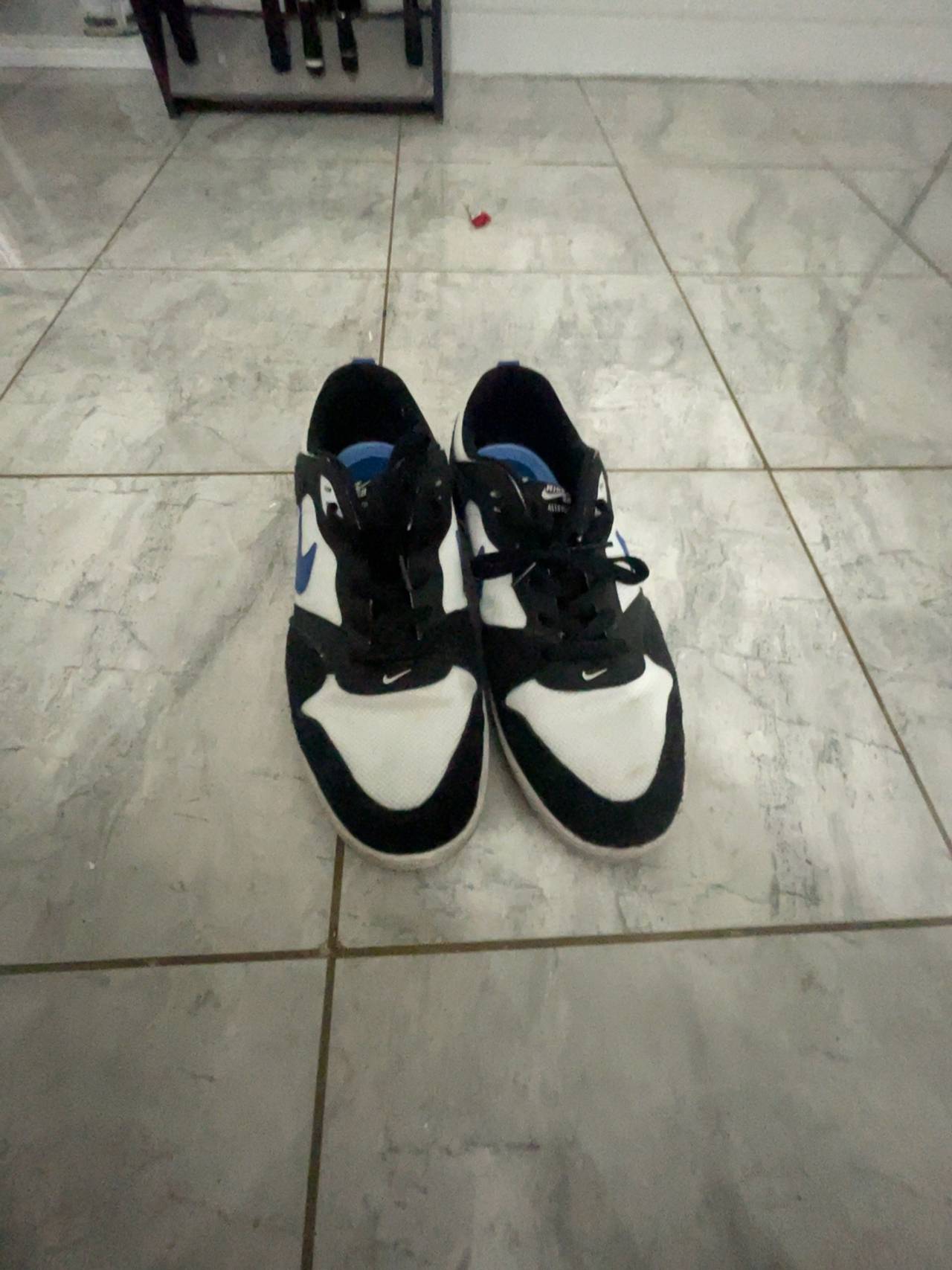 Nike SB Alleyoop White/Team Royal Skate Shoes
