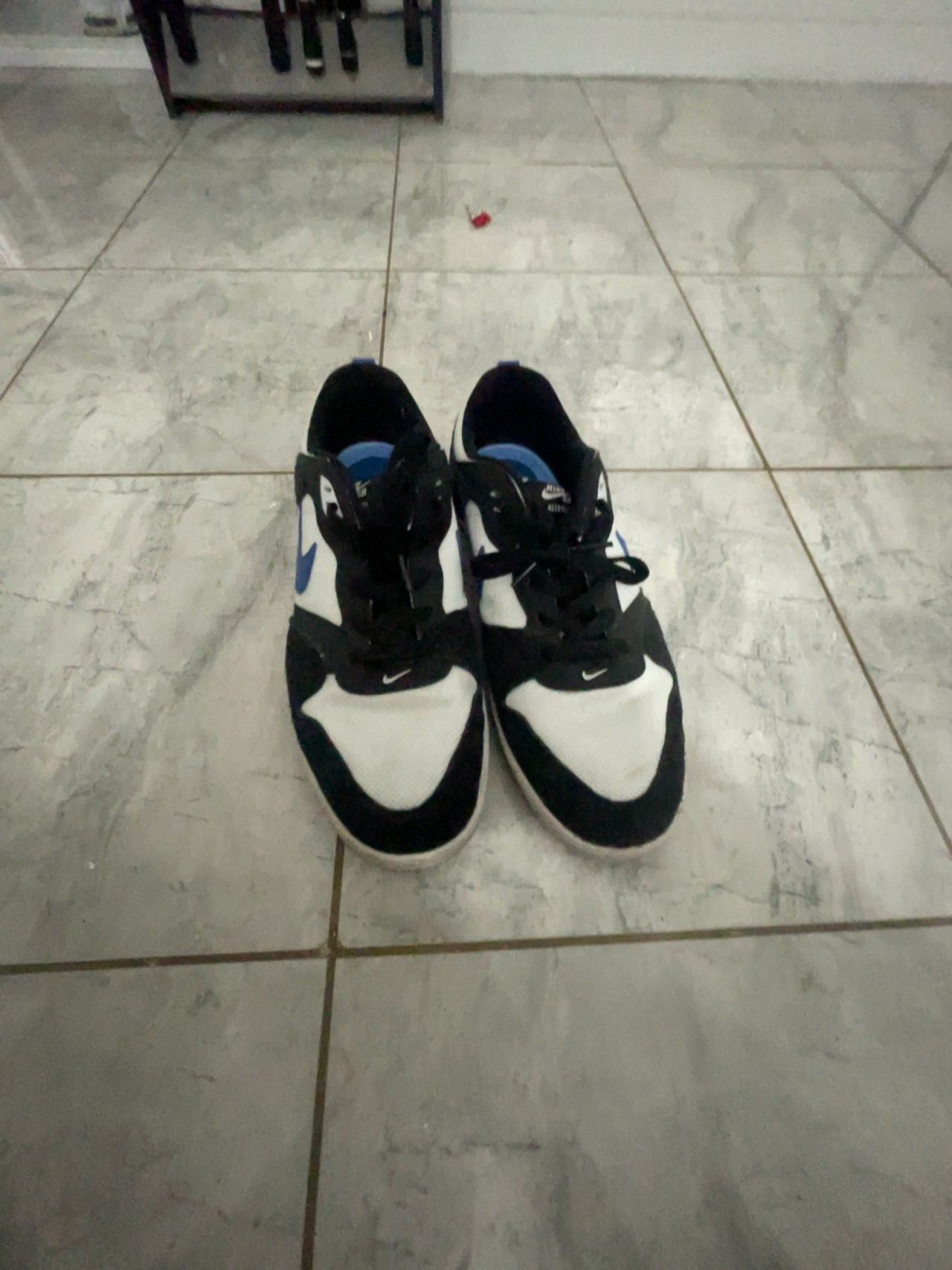 Nike SB Alleyoop White/Team Royal Skate Shoes