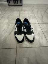 Nike SB Alleyoop White/Team Royal Skate Shoes - Image 1