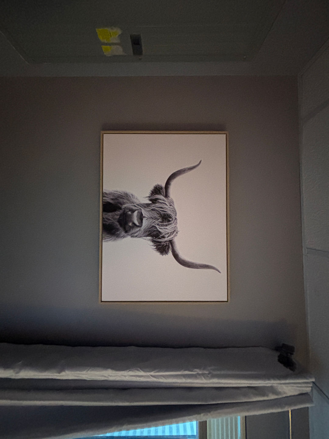 Highland Cow Wall Art Print