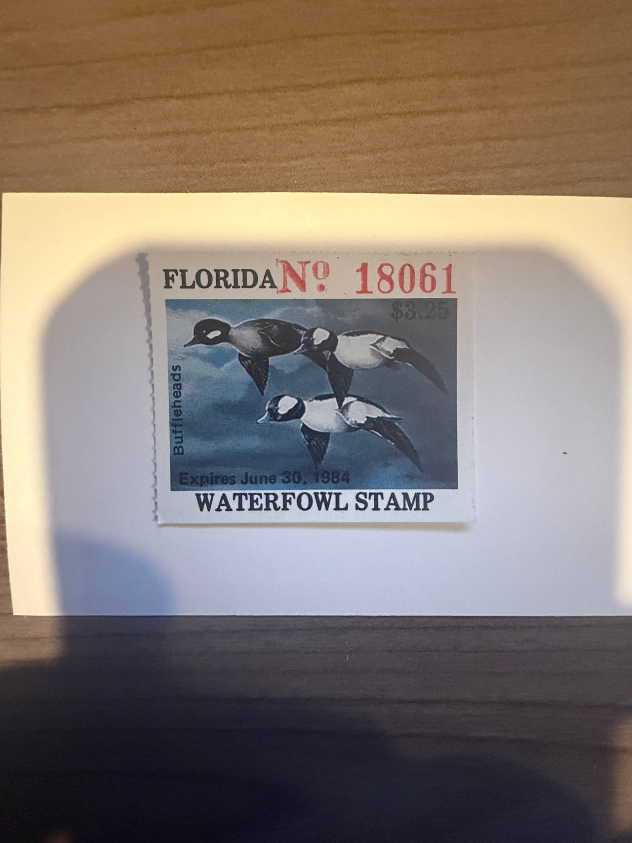 1983-1984 Florida Waterfowl Stamp Buffleheads mint CV$75