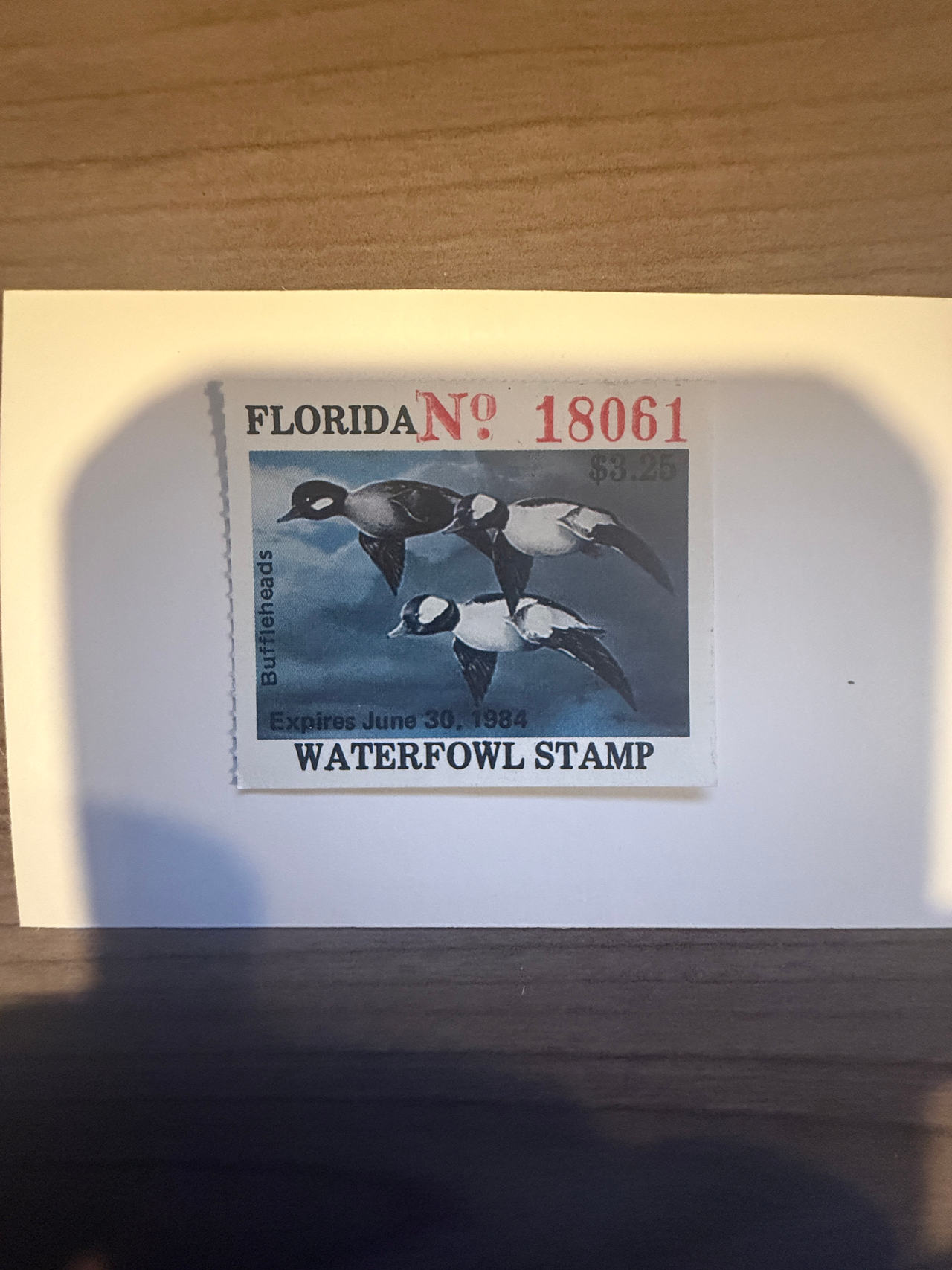 1983-1984 Florida Waterfowl Stamp Buffleheads mint CV$75