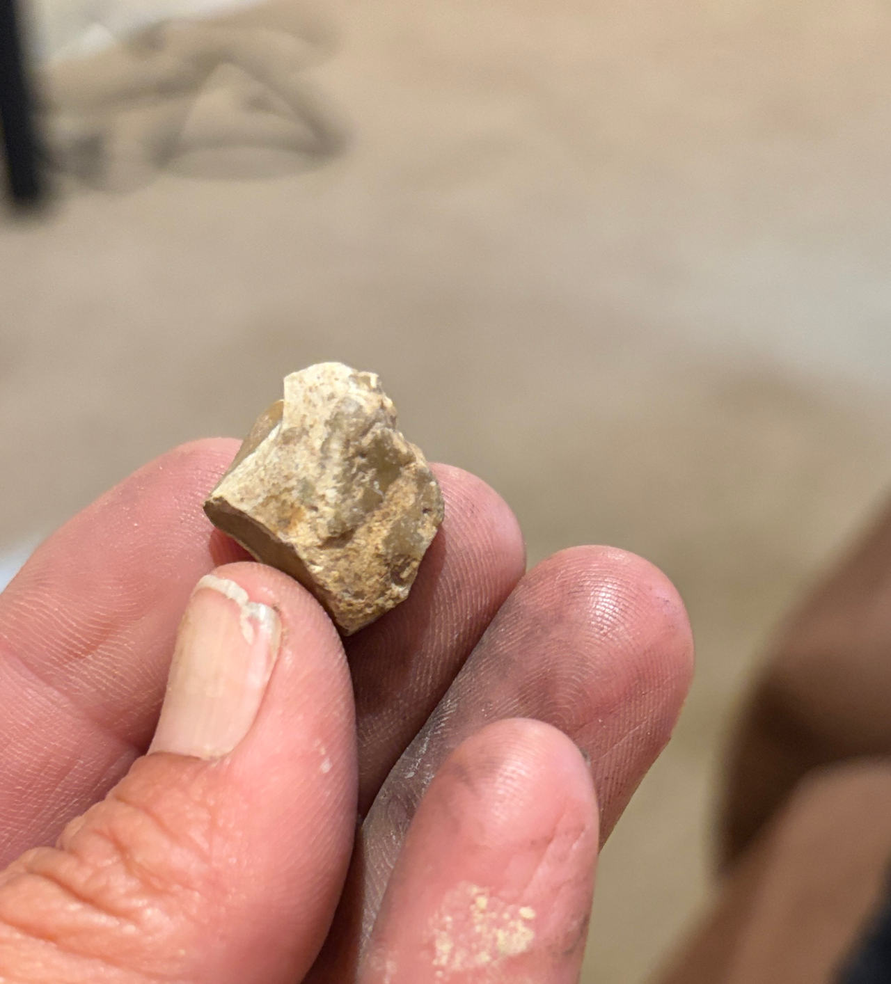 Native American Chert Artifact Flake