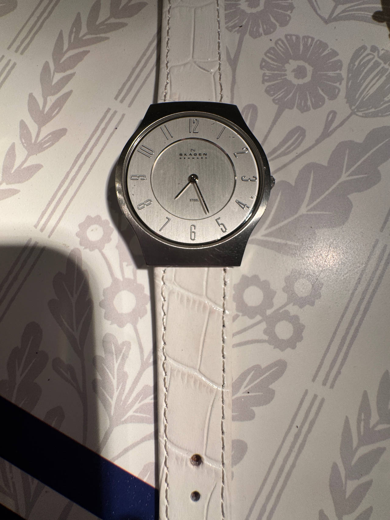 Skagen Men's Stainless Steel Watch