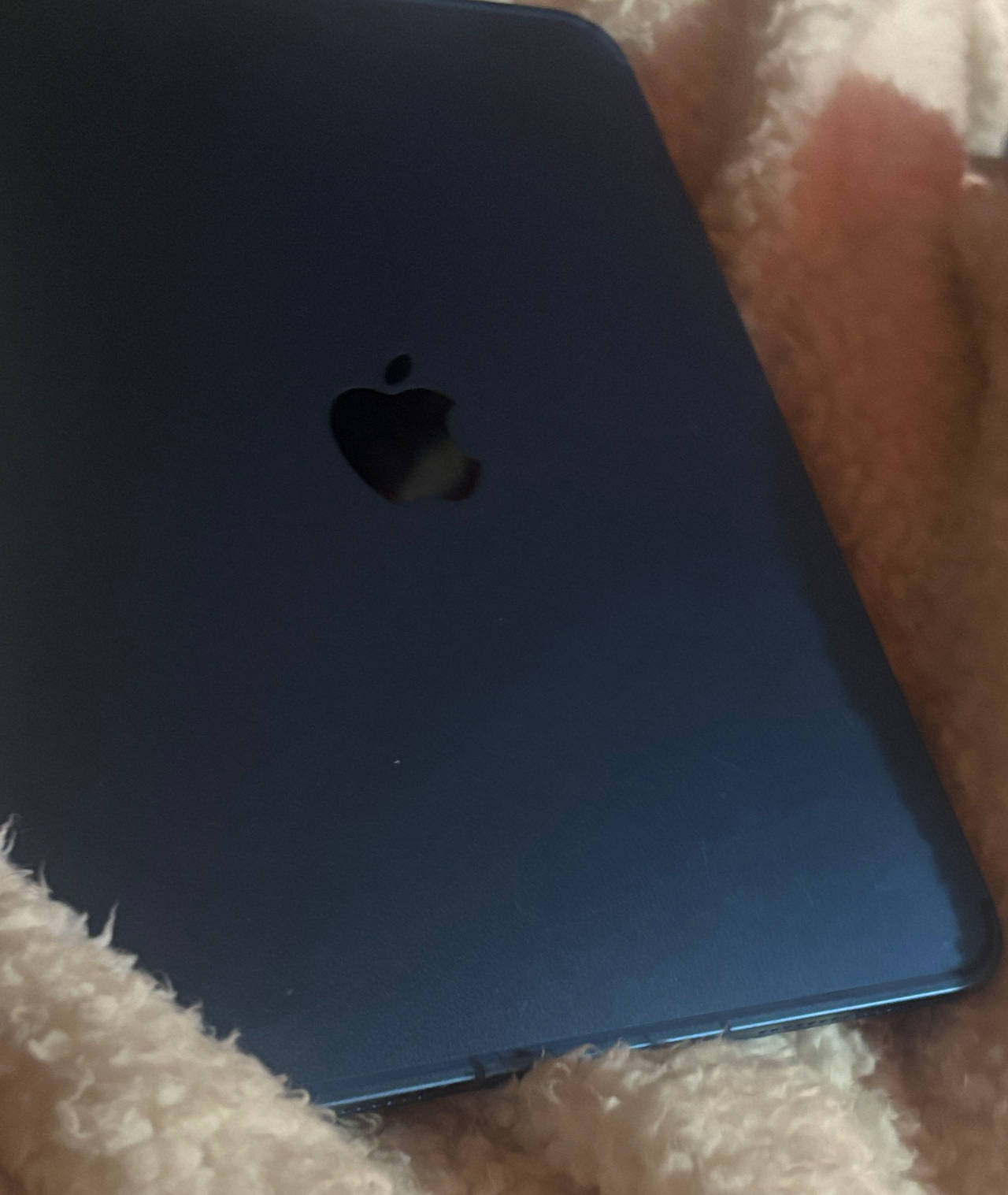 Apple iPad mini (6th Generation)