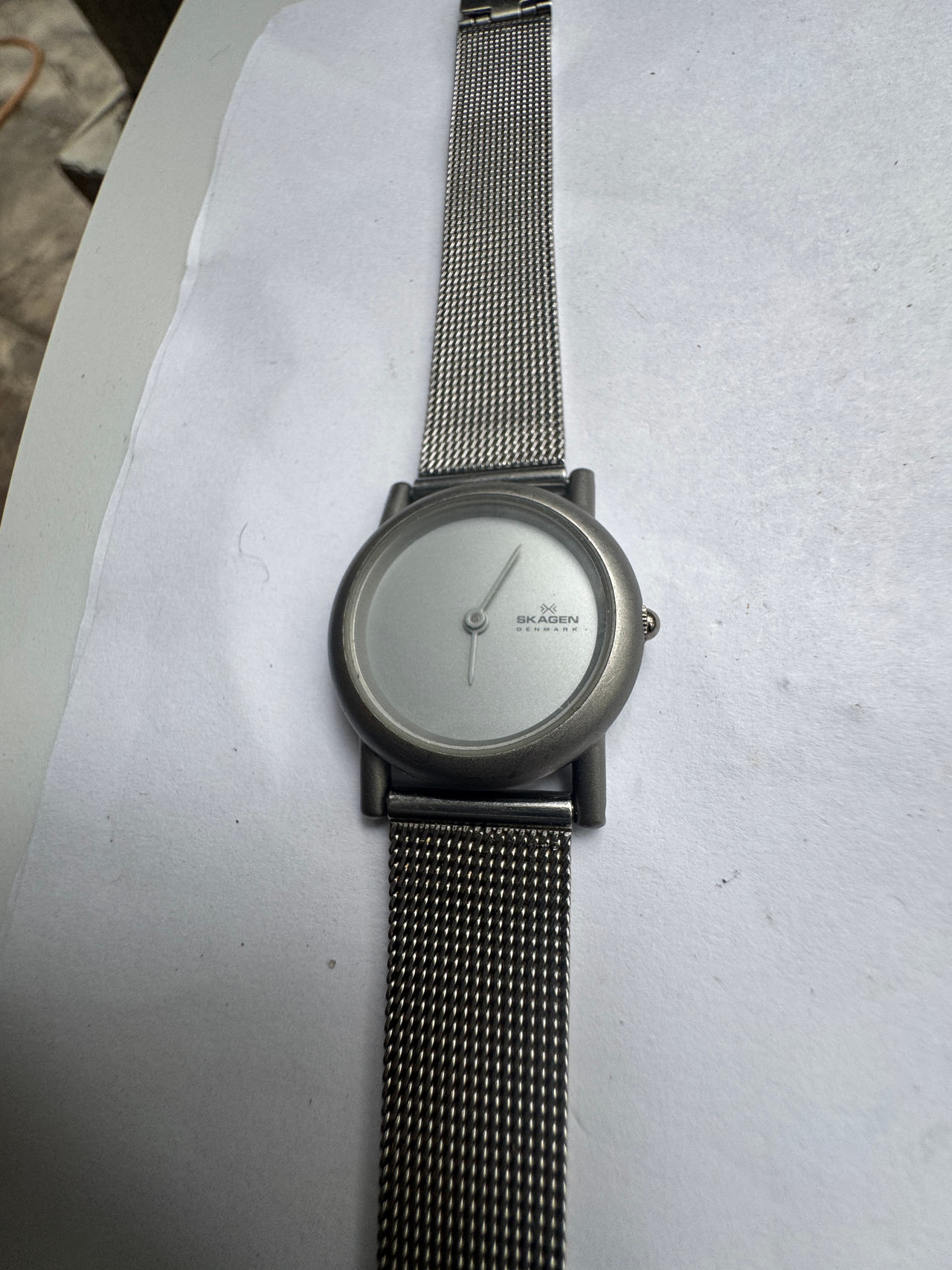 Skagen Denmark Watch