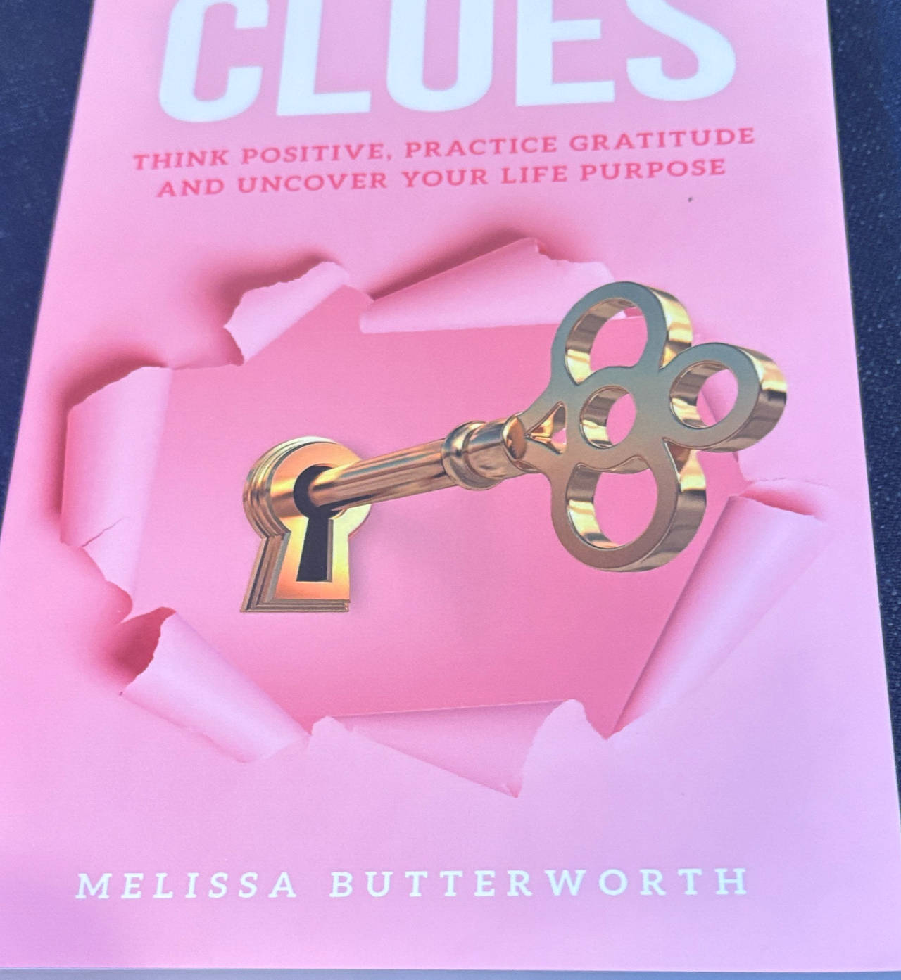 Clues by Melissa Butterworth