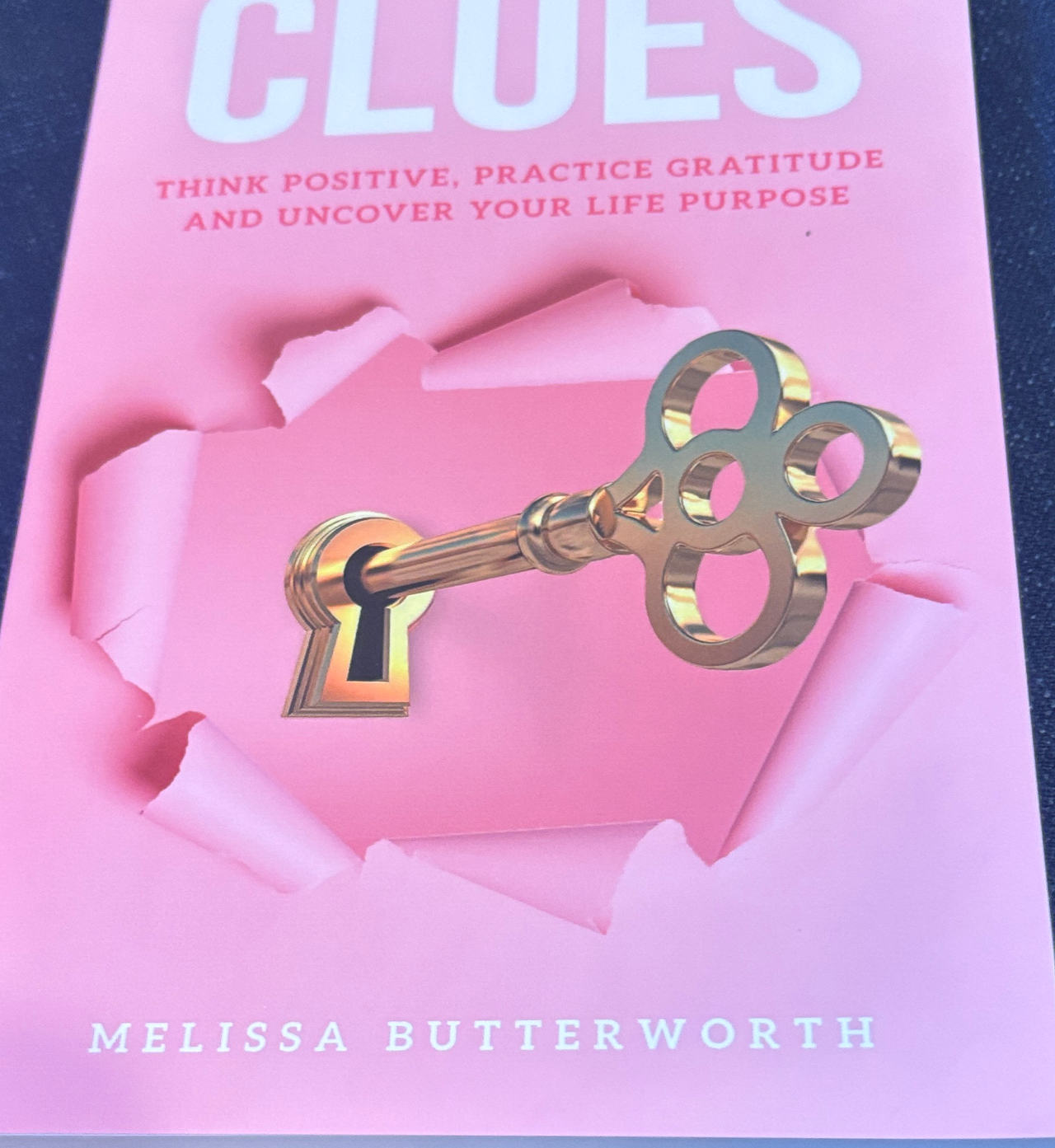 Clues by Melissa Butterworth