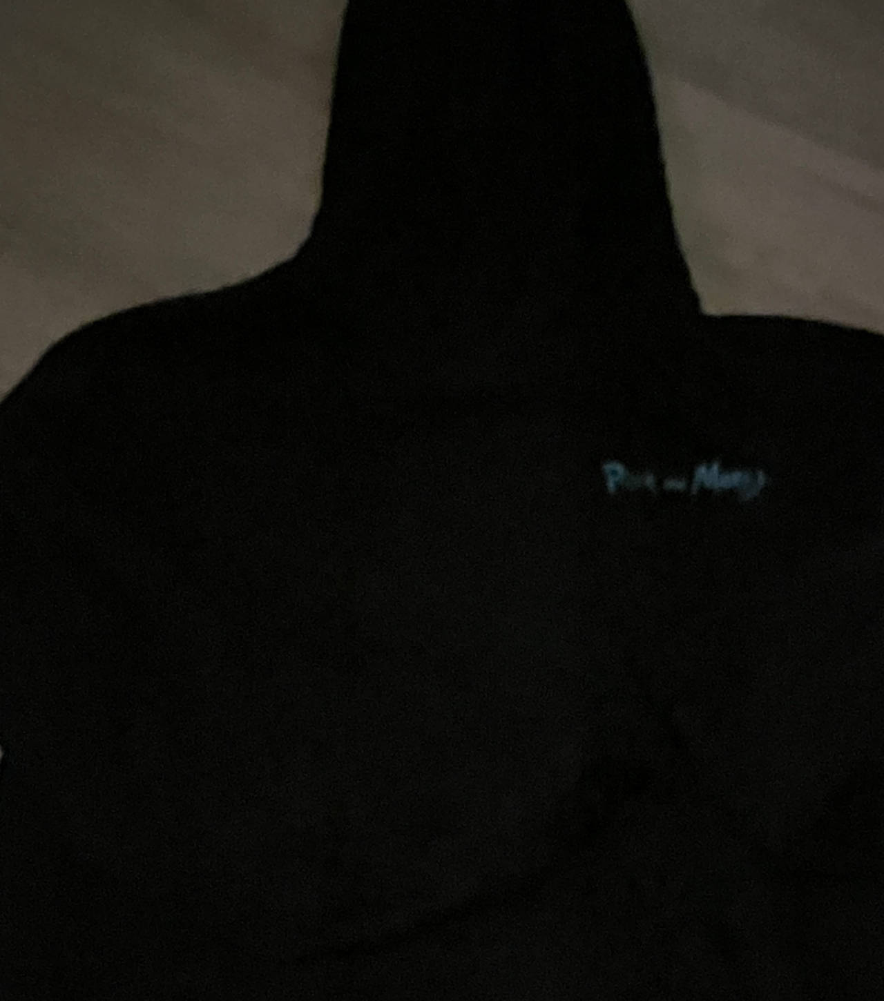 Rick and Morty Logo Hoodie